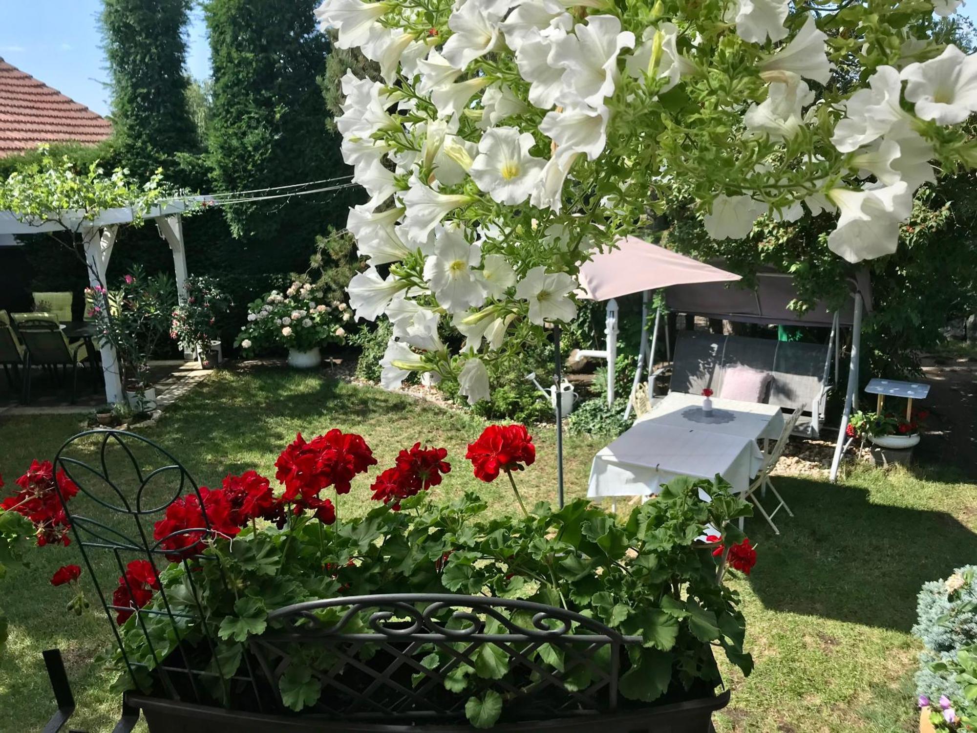 Relaxacni Studio Vera S Ubytovanim Valtice Kültér fotó