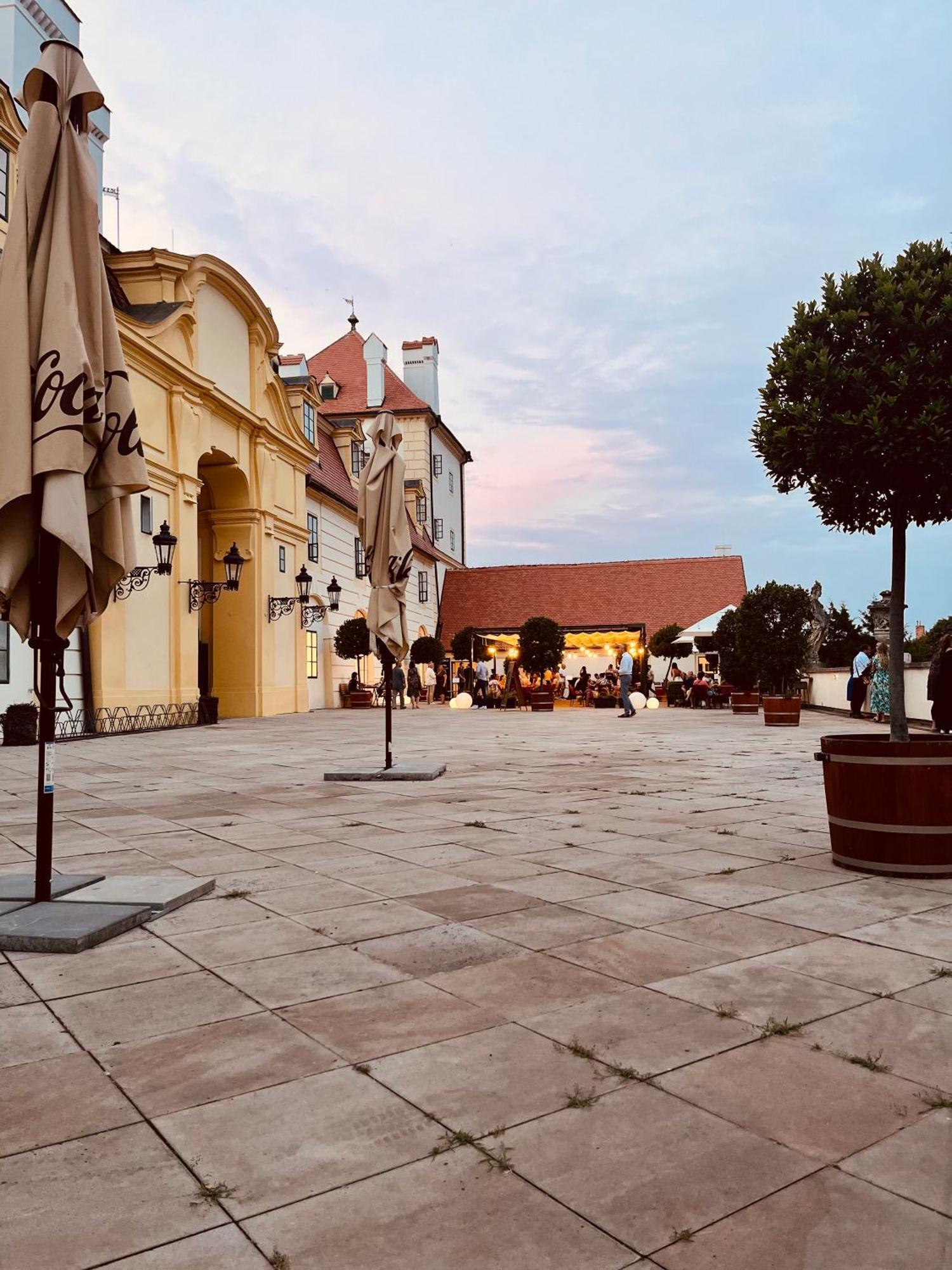 Relaxacni Studio Vera S Ubytovanim Valtice Kültér fotó
